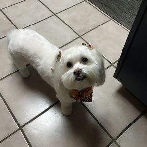 Meet your Posher, Cindy